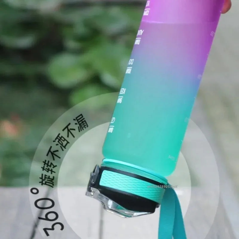 S925b9e4de56a4cb8ae0b67fbf6d077d8P